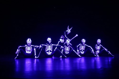 Modern art forms such as dance, hip hop, ... are combined with music, visual arts, lighting arrangements and advanced performance technologies